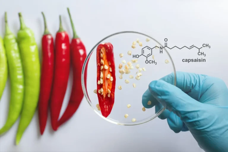Chili-Behandlung, ISSZ AG
